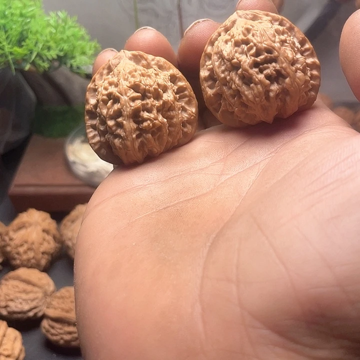 核桃手串/手链39白狮子全品…………