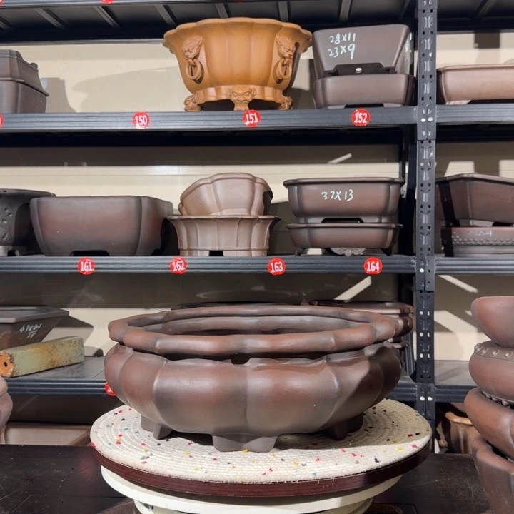 花盆紫砂呜呜我的小可爱