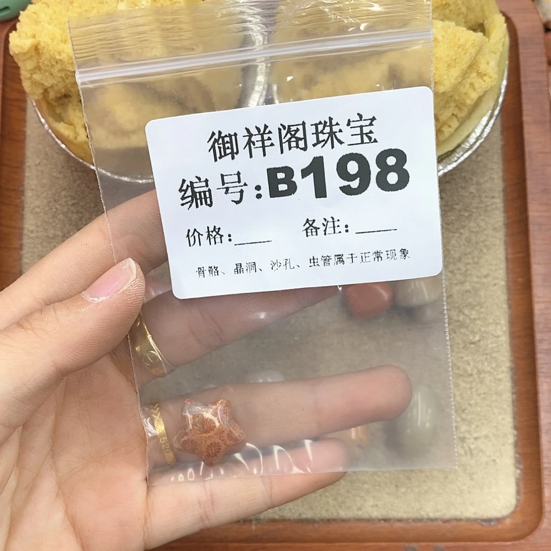 硅化珊瑚（珊瑚玉）颈饰未镶嵌泡**