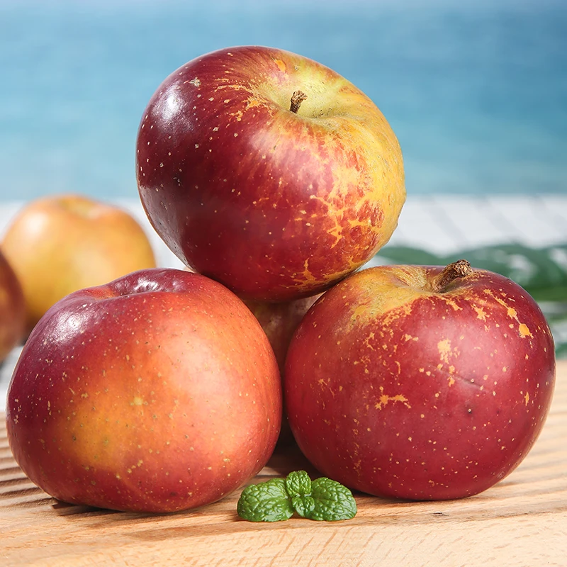 四川盐源丑苹果4.5斤脆甜多汁果香浓郁新鲜采摘