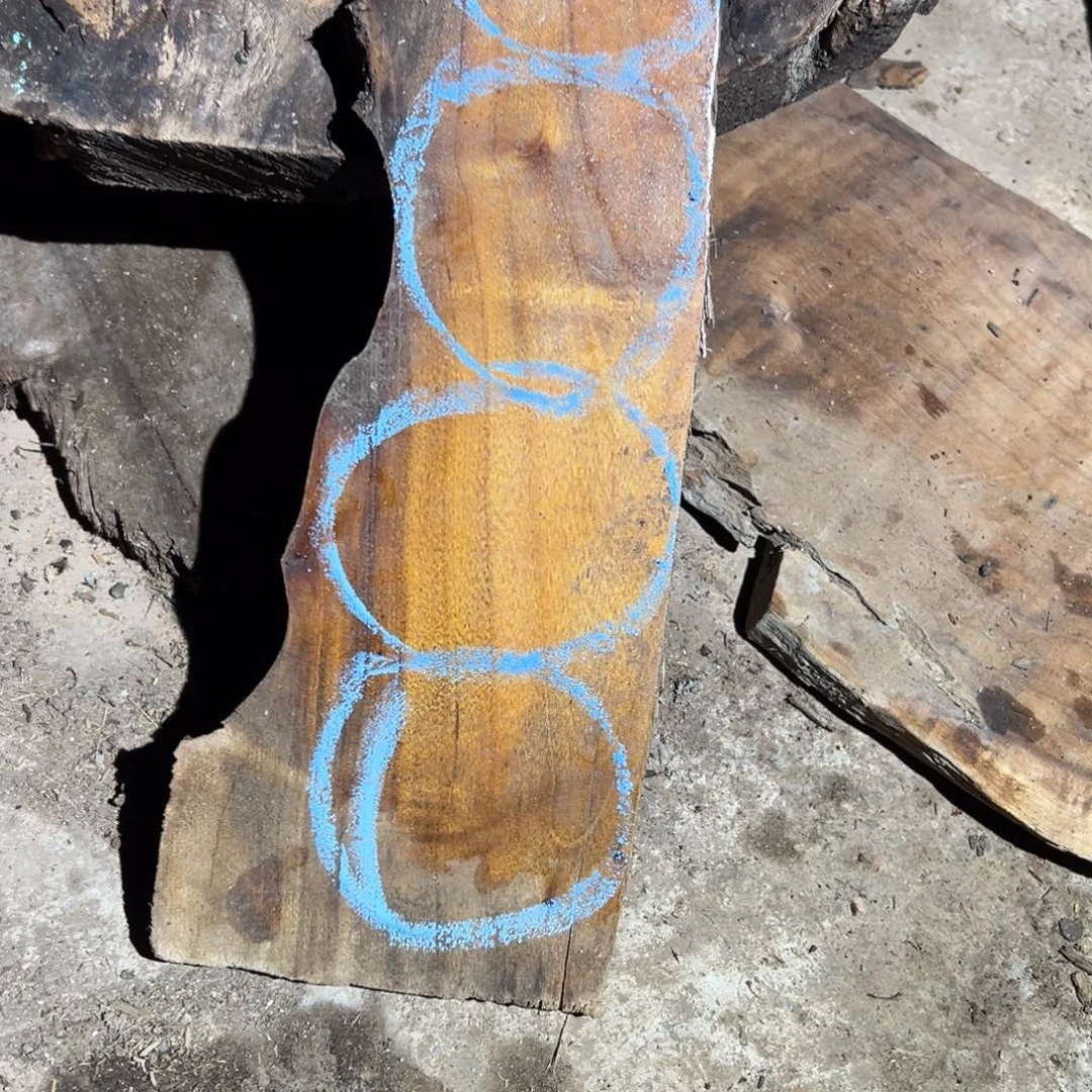 金丝楠黄*斌11111111111