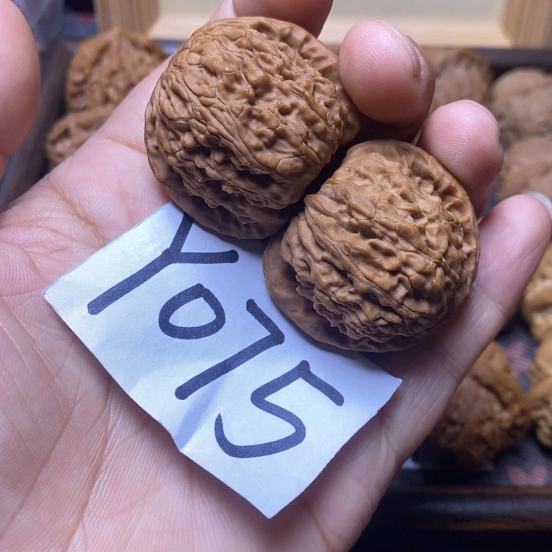 把件文玩核桃37尺白狮子