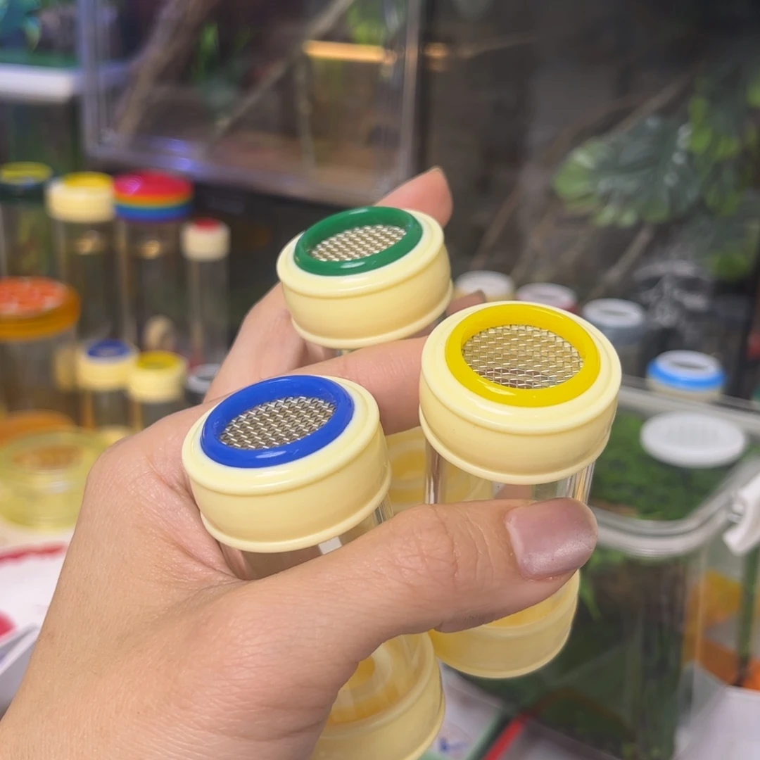 3桶➕3竹蛉拍拍拍拍