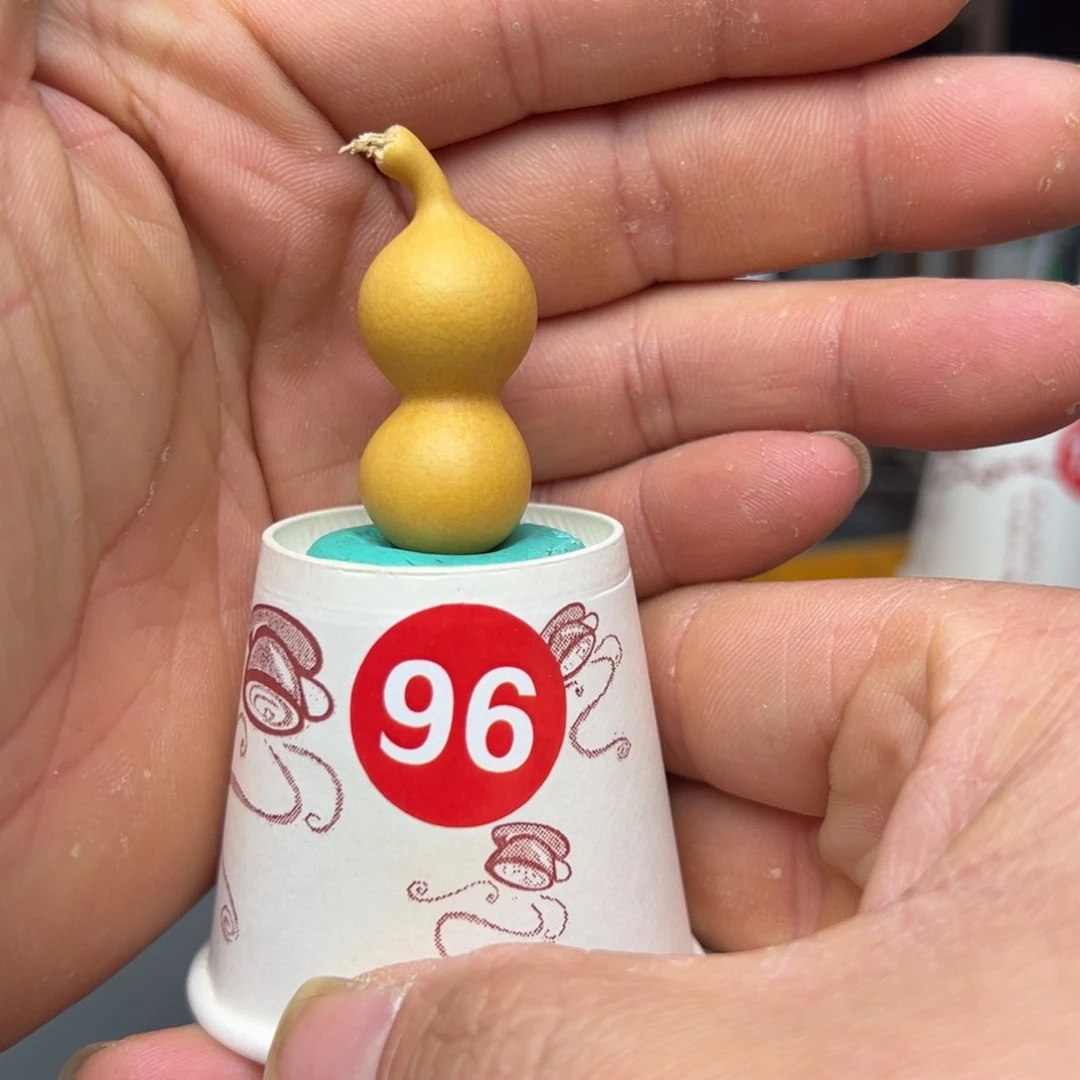 闪电购自助下单编号96