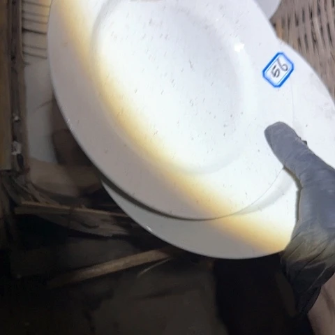 瓷片国营厂库存20厘米2个