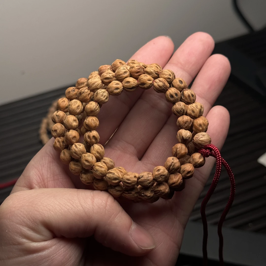 热振柏香籽红芽原桩尸陀林