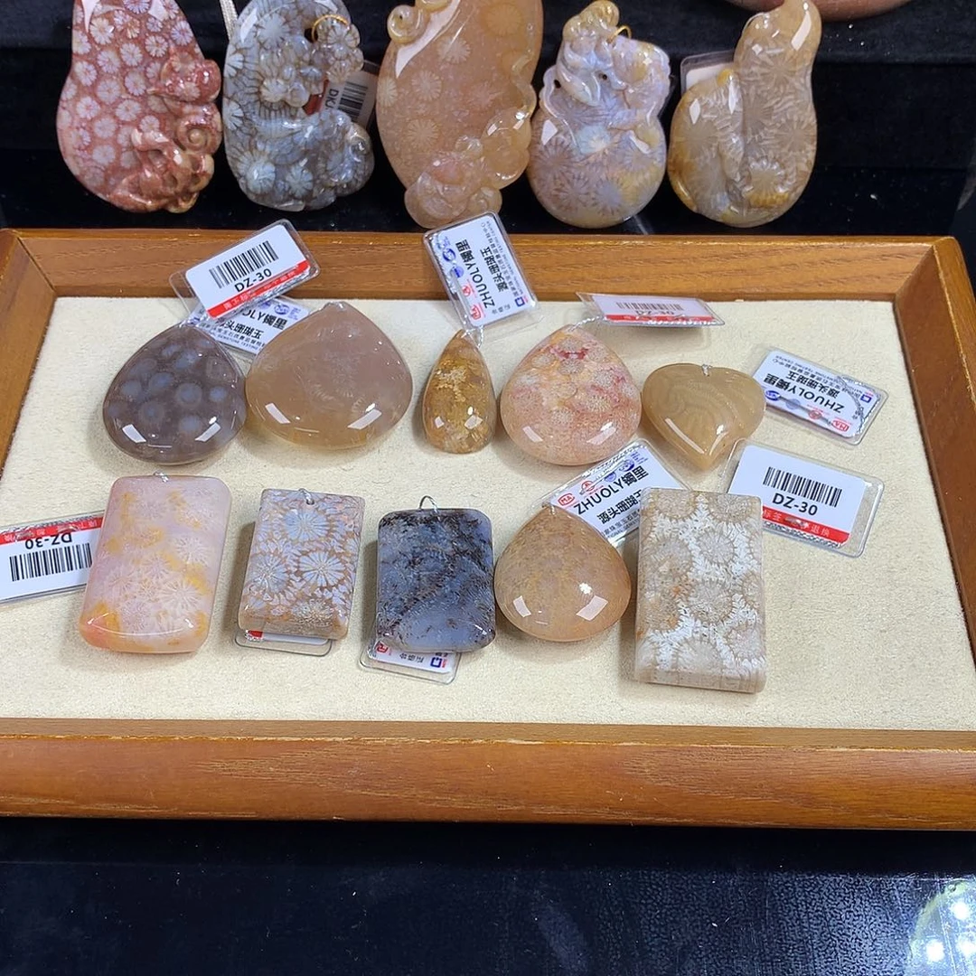 吊坠(赠链)未镶嵌硅化珊瑚（珊瑚玉）28号