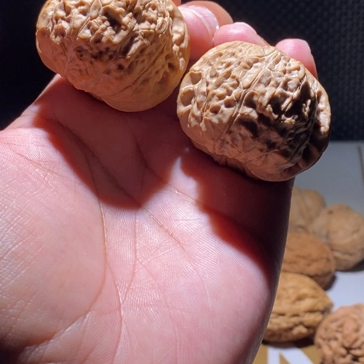 木质类?***生南瓜111111