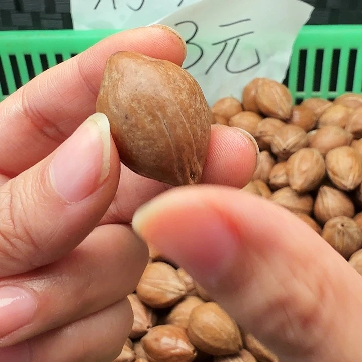 手串/手链橄榄核橄榄