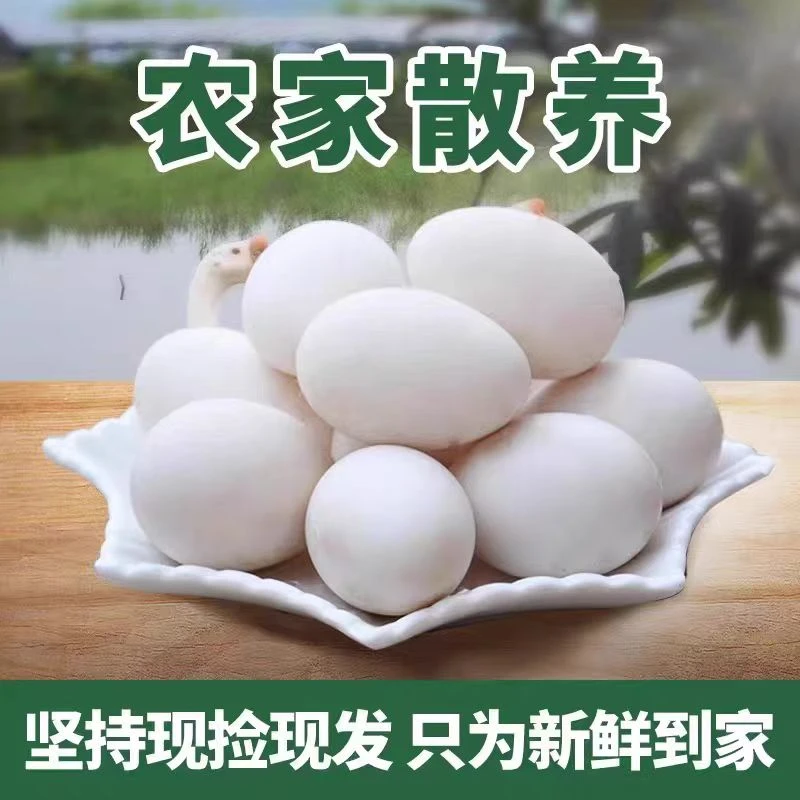 现捡现发农家散养新鲜土鹅蛋营养丰富适合孕妇宝宝