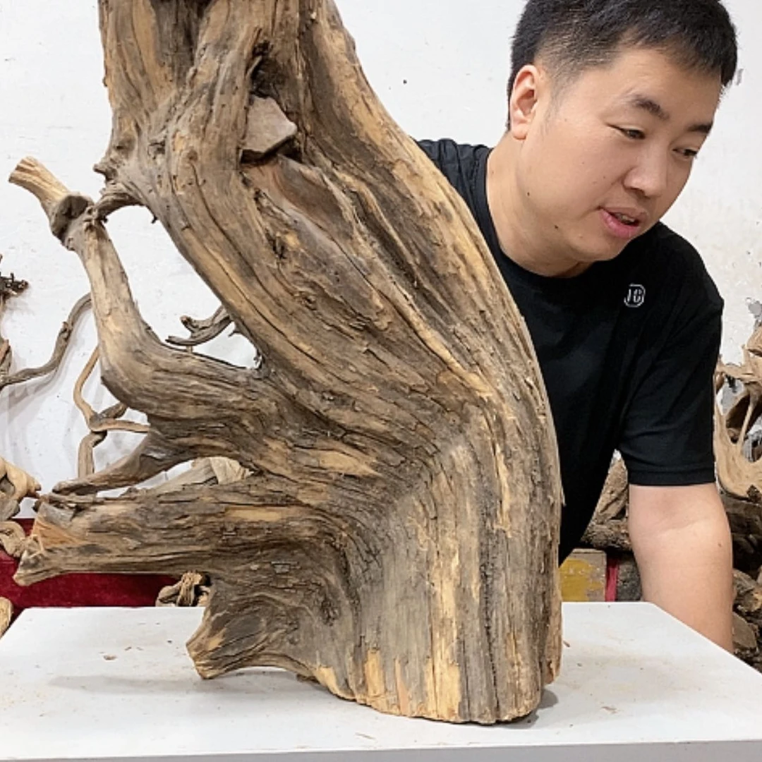 【闪购商品】柏木奇*我们的目标就是成为更优秀更