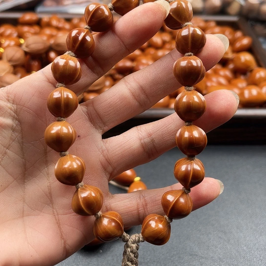 吊坠龙脊菩提橄榄树等树木生长