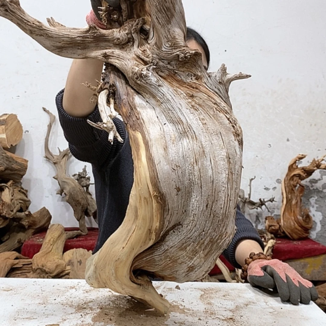 【闪购商品】柏木知**乐我们都是好孩子