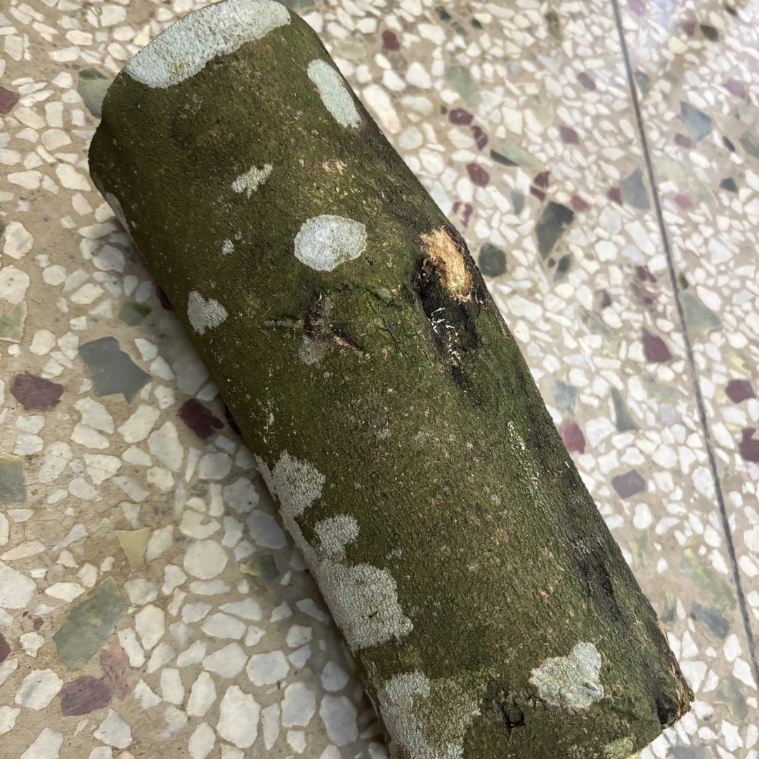 2原木原材料薰香体验品密度高可作车摆件
