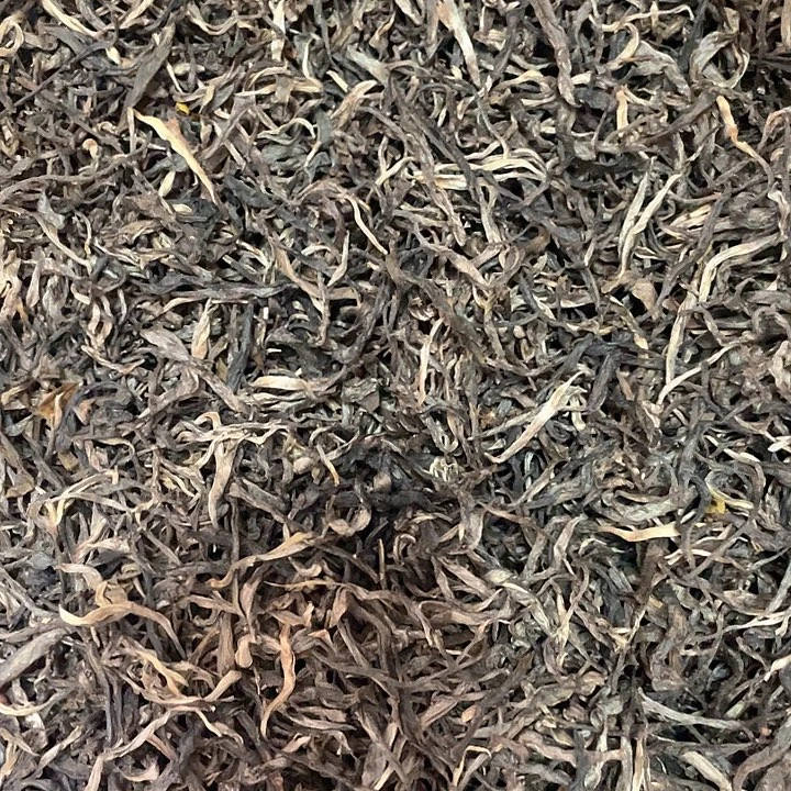 国画云南大树混采生普