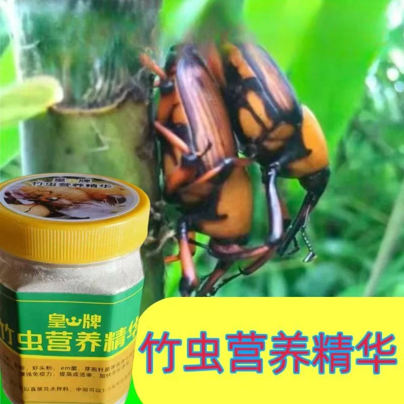 【竹虫养殖】竹笋虫竹虫营养精华竹虫竹笋虫人工养殖辅助佳品