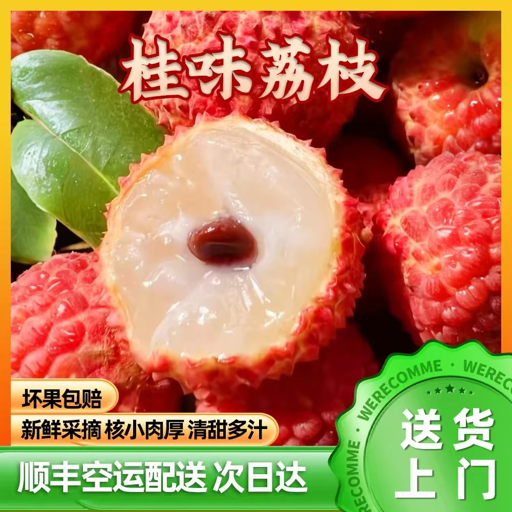 广东增城桂味荔枝肉厚现摘大果3/5/10斤装荔乡园新鲜荔枝同城送