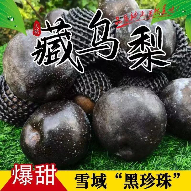 【顺丰包邮】高原藏乌梨新鲜水果皮薄肉厚汁水纯甜无酸黑梨4.5斤
