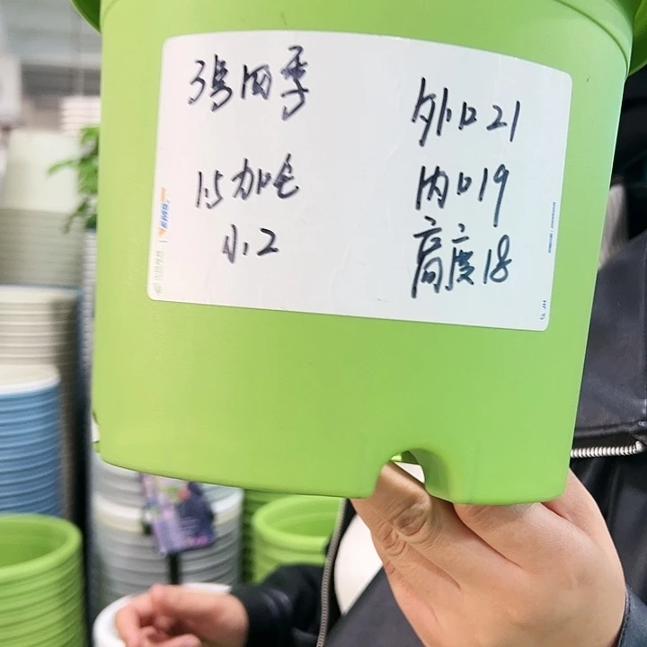 特价3号四季口21高18果绿色10个无托