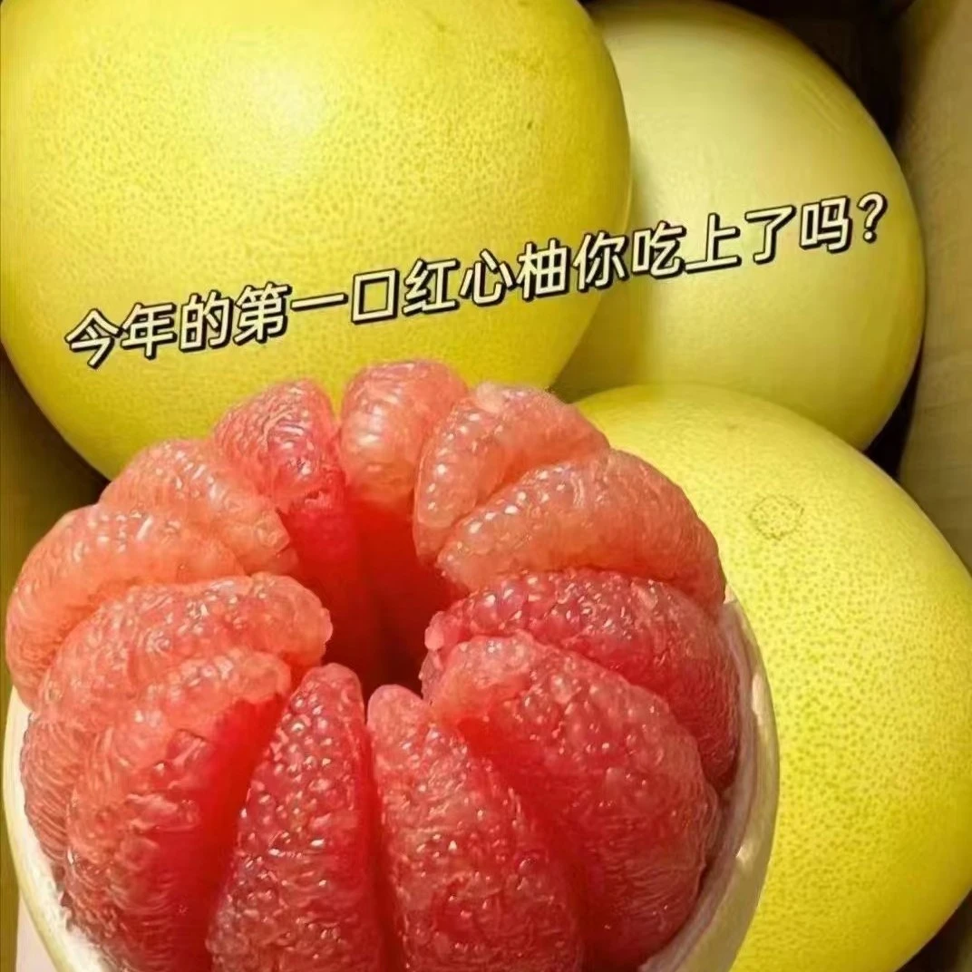 老树红心蜜柚新鲜水果皮薄鲜嫩多汁当季沙田柚好货