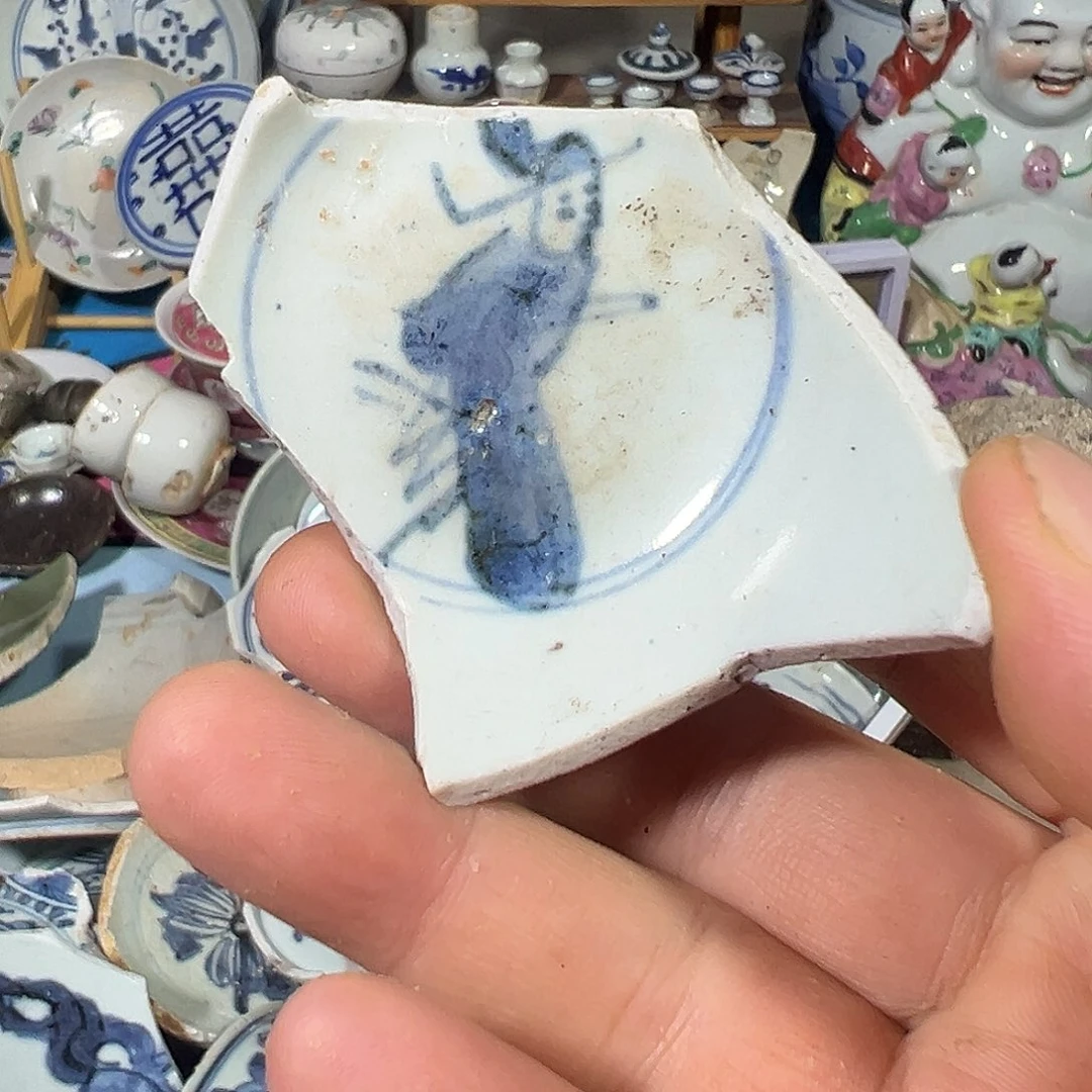 瓷片瓷片标本，全场包邮