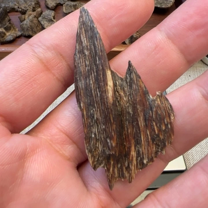 沉香摆件深圳虫漏2.3克