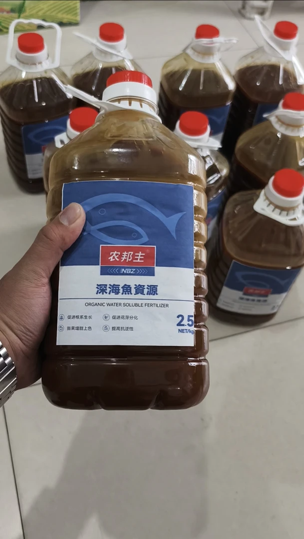 高浓缩深海鱼蛋白