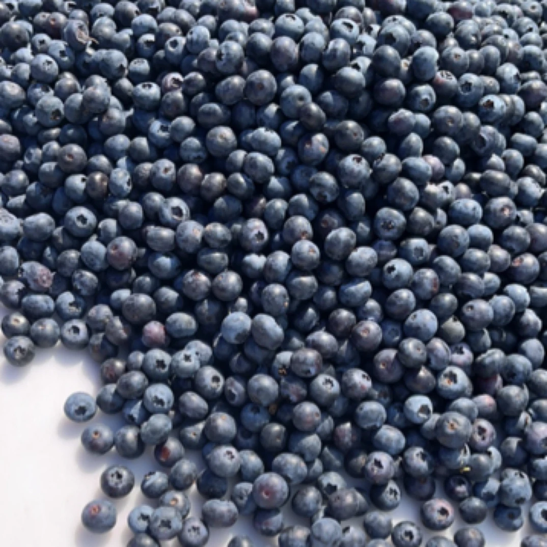 云南蓝莓18.8一斤125g 15mm 20一份云南省