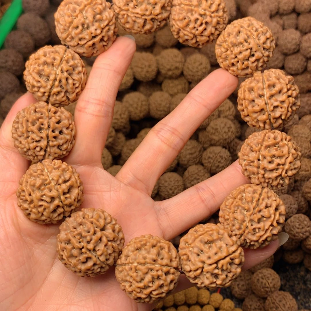 木7瓣爆肉卡28尺寸，48号