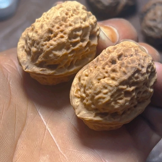 把件文玩核桃卡38小粗筋绣球纹20号