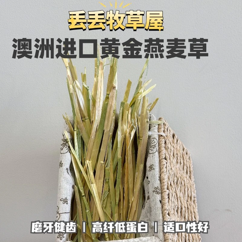 【手挑】澳洲进口黄金燕麦草黄金便便澳麦兔子龙猫豚鼠高纤维干草