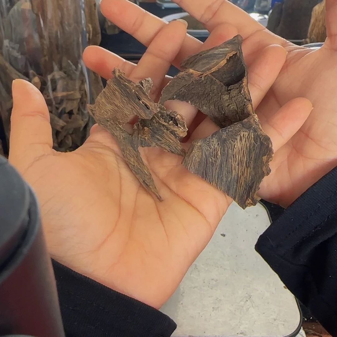 化***生沉香碎屑沉香精品虎斑奇皮油料15.8克