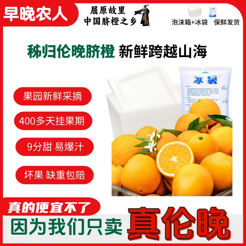 【冰袋+泡沫箱 保鲜发货】新鲜伦晚脐橙子湖北秭归正宗香甜细腻多汁