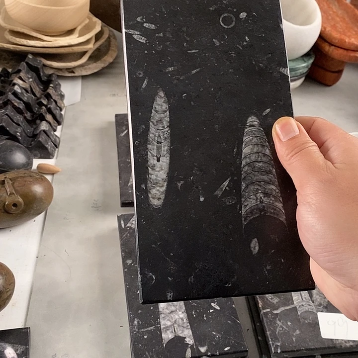 精***歌化石茶盘粉丝福利