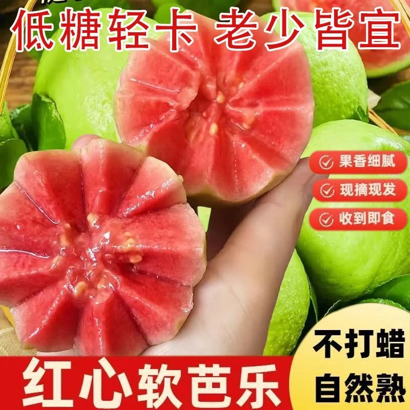 整箱5斤！【只卖大果】广西软糯软心奶油红心芭乐水果3斤白心番石榴