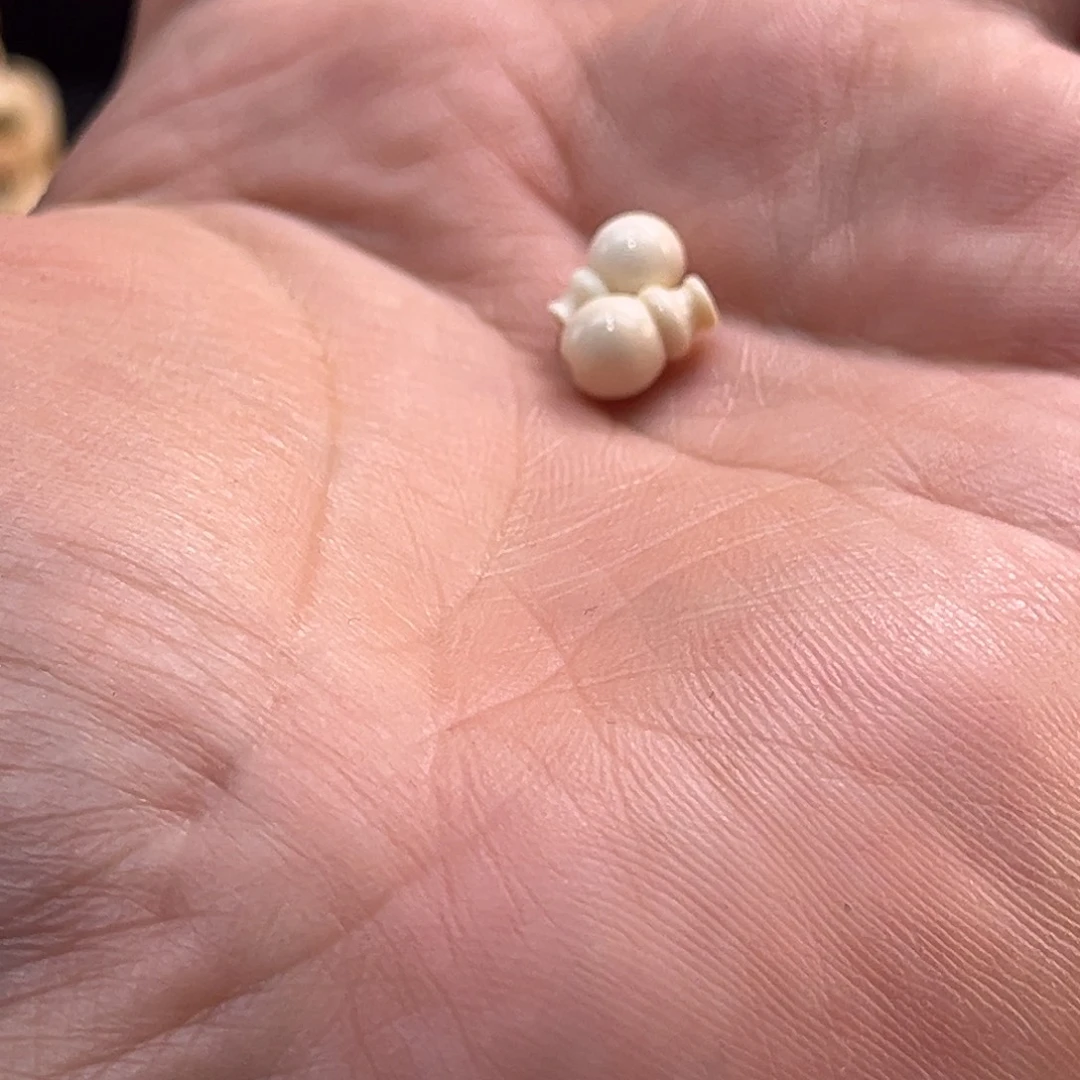 鹿骨手串/手链02-长毛弟子珠