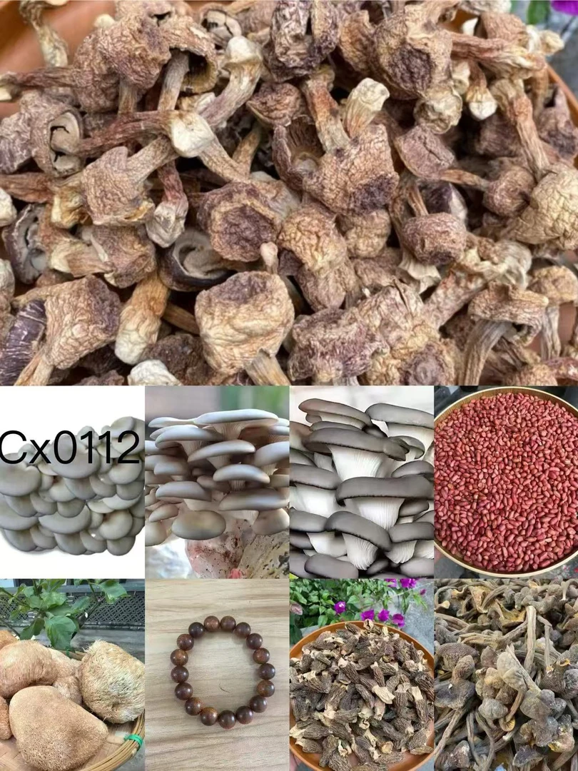 《阿浩专用土特产CX0112》多样性发货 重量17克左右