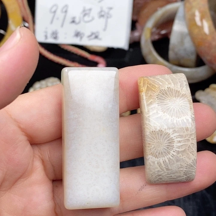 硅化玉未镶嵌颈饰