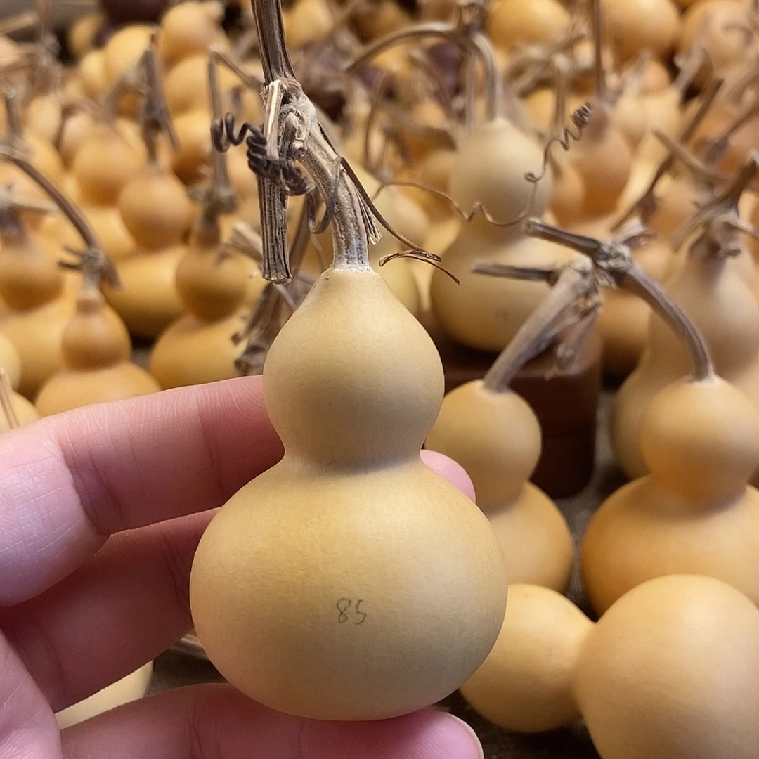 文玩葫芦 完美主义者 慎拍85