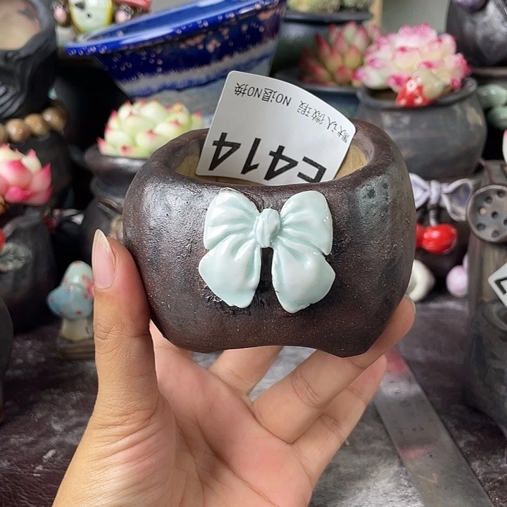 重庆小燕子欢迎大家