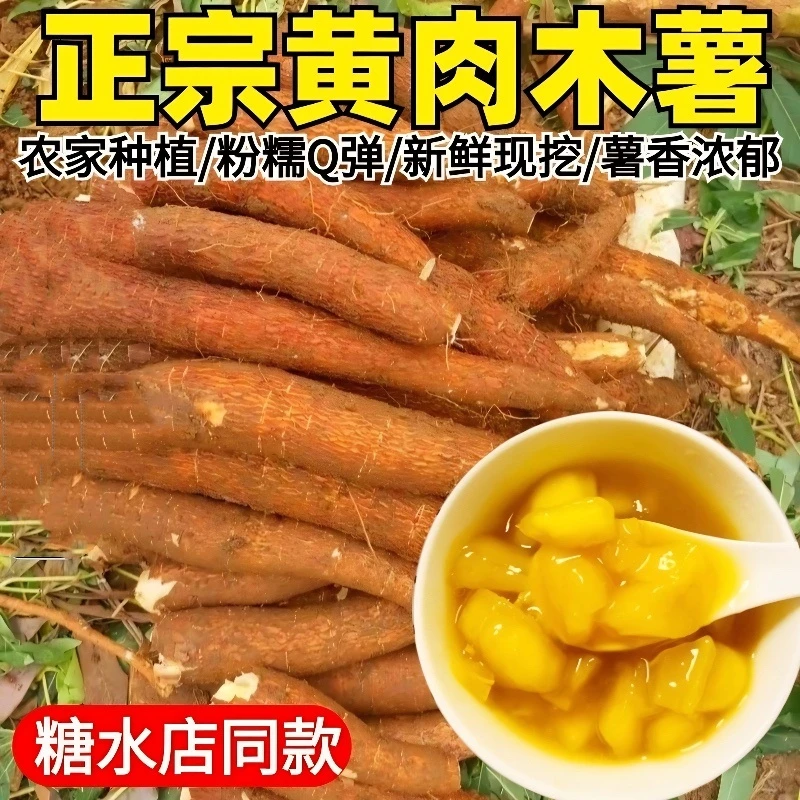 黄心木薯新鲜现挖广西特产农家当季黄肉面包木署板栗红薯糖水店