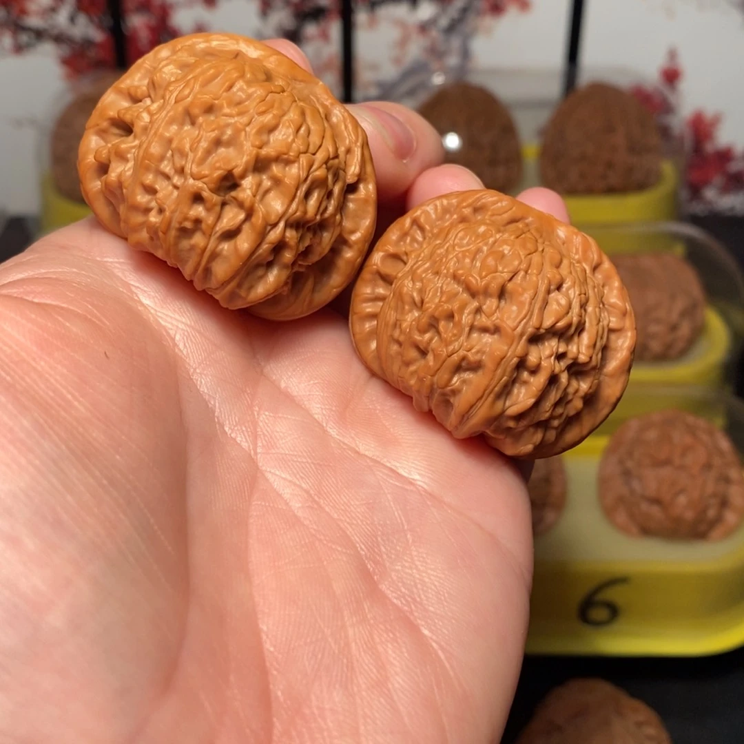 文玩核桃把件40尺白狮子核桃