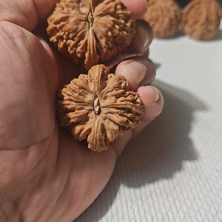 文玩核桃把件文玩核桃。