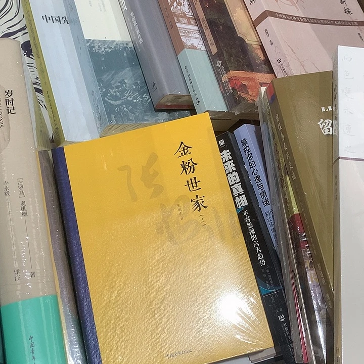 金粉世家默认微瑕介意勿拍