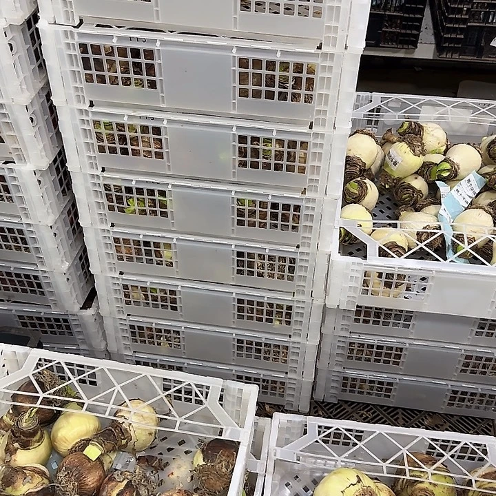 餐次球3球不包售后进口球