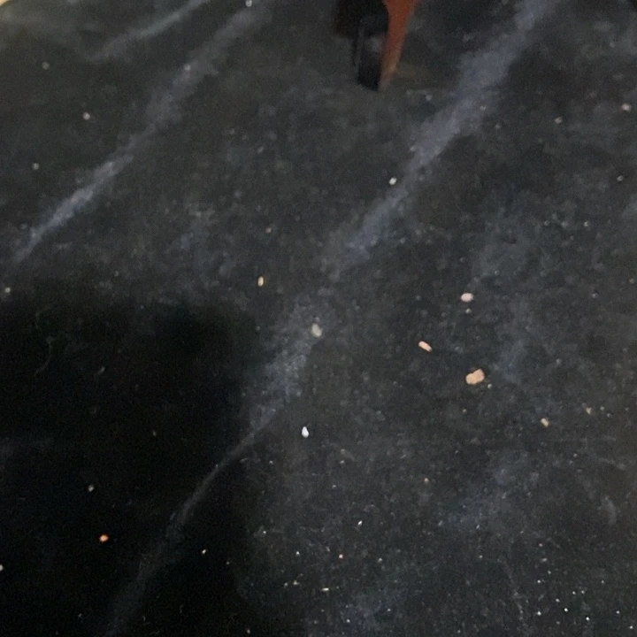 玉玉章11111111211111