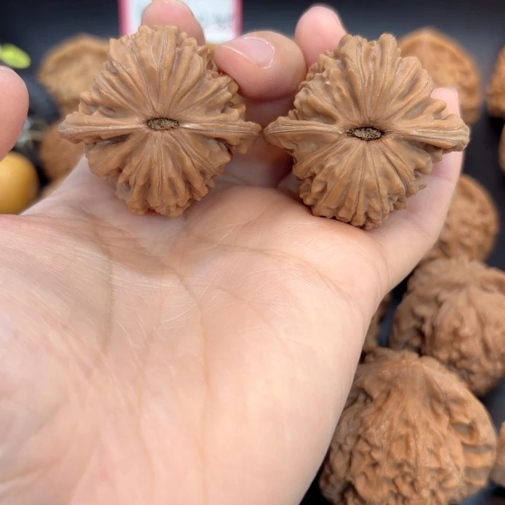 41四座楼全品无修全品