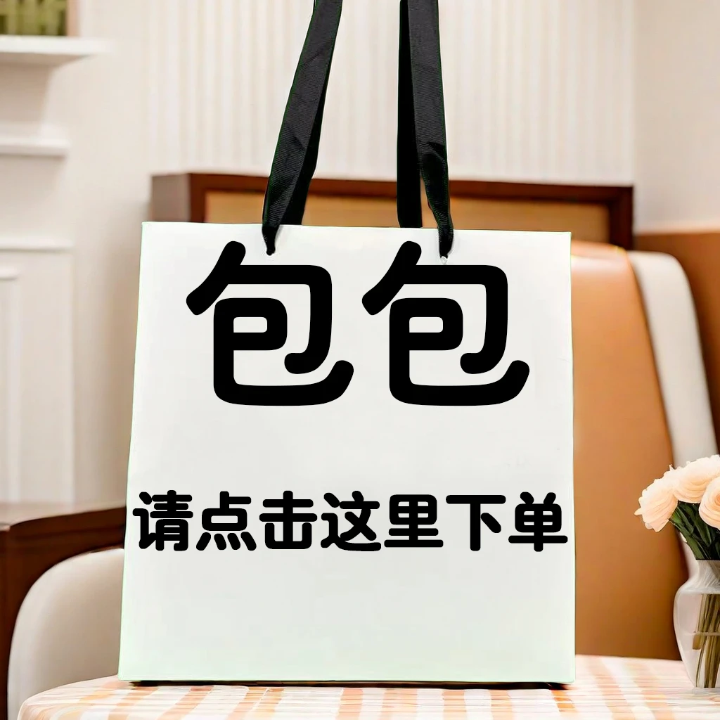 2025轻奢时尚百搭女士小众简约经典腋下单肩秋冬肩包斜跨包96207