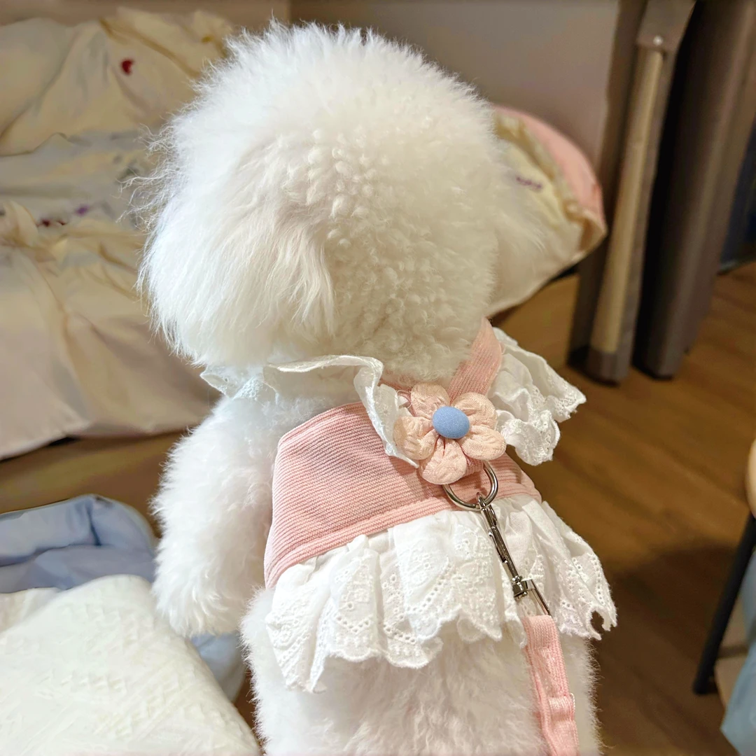 狗狗牵引绳可爱背心式宠物胸背小型猫咪比熊遛狗泰迪链子调节防脱