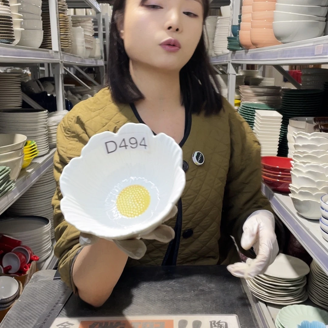 瓷片494              6个